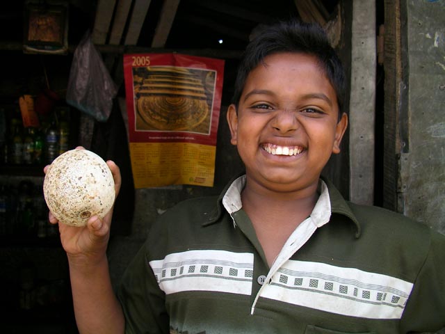 �E�b�h�A�b�v������Ɏ����N