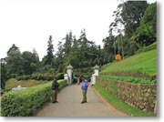 �n�b�K���A�����̓���