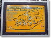 �����}�b�v