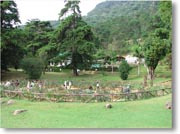 �����̗l�q