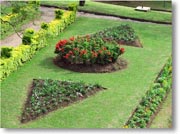 �Đ��A�����߂��A������̂悤�Ȗ͗l