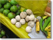 �E�b�h�A�b�v��