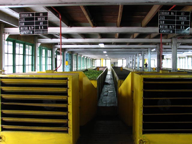 �g���̗t���悹���x���g�R���x�A�[