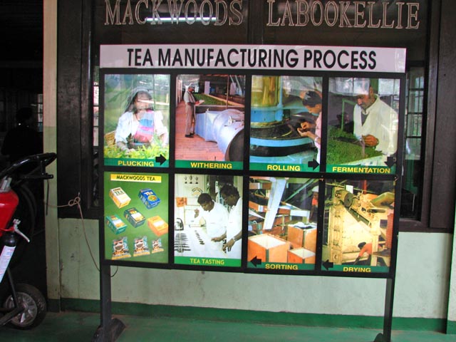 �g���̐����s��