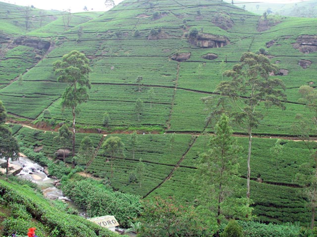 �i�����̒납�猩������