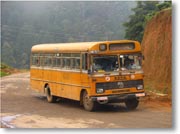 �R����Ό����Ă���o�X