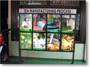 �g���̐����s��