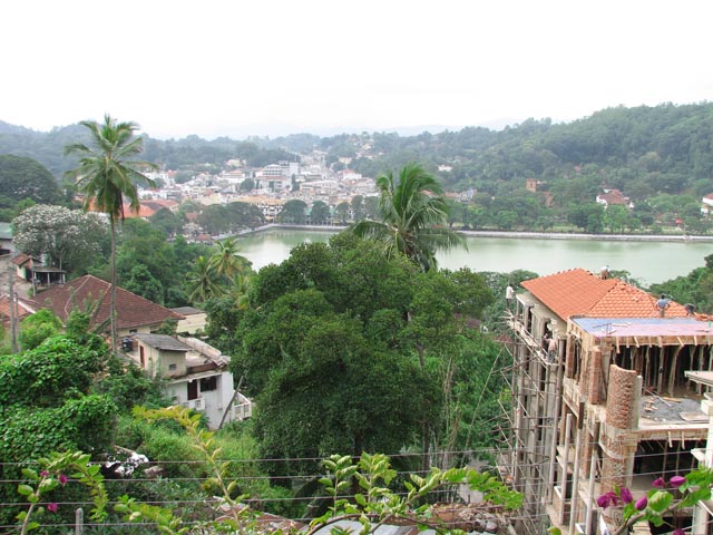 �L�����f�B�̃Z�i���E���X�g�������猩���i�F