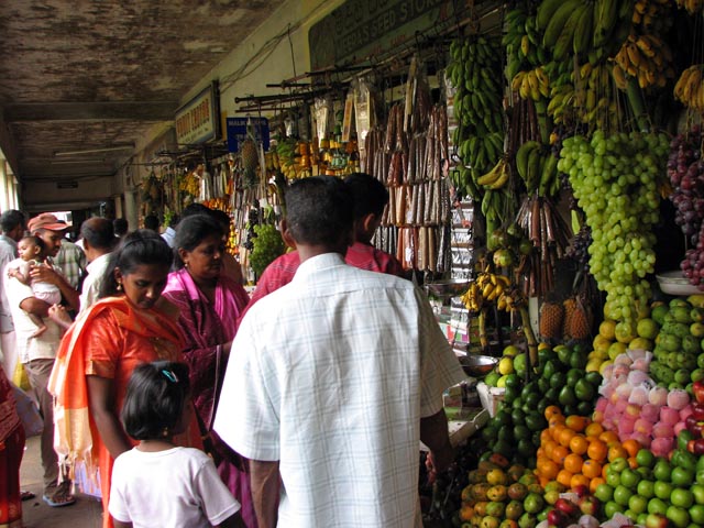 �ʕ����Ŕ����������錻�n�̏����B