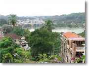 �L�����f�B�̃Z�i���E���X�g�������猩���i�F