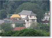 �Z�i���E���X�g�������猩��������