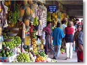 �L�����f�B�E�}�[�P�b�g�̉ʕ����̗l�q