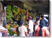 �ʕ����ɌQ����l�X