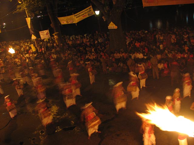 �����_�ŗx��_���T�[����