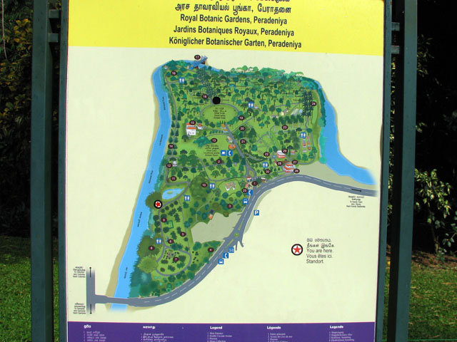 �y���f�j�A�A�����̃}�b�v