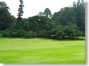 �r�����[�̖�