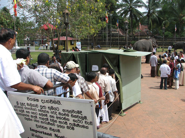 �ו�����