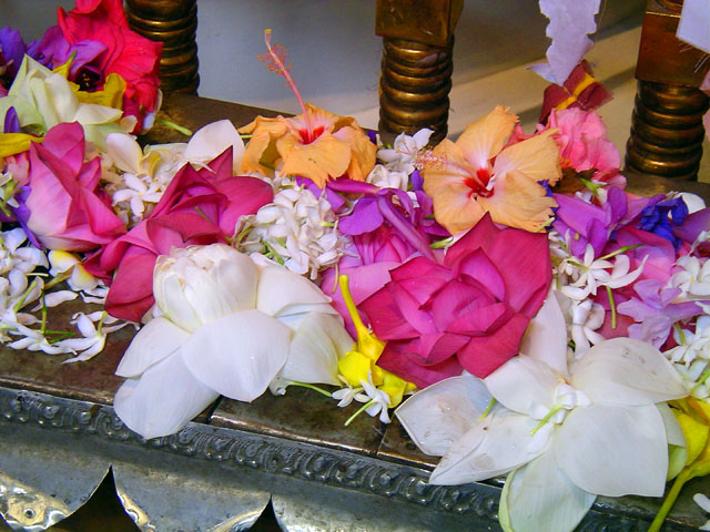 �Y����ꂽ��