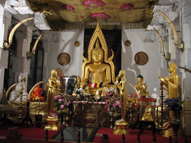 �����̗l�q