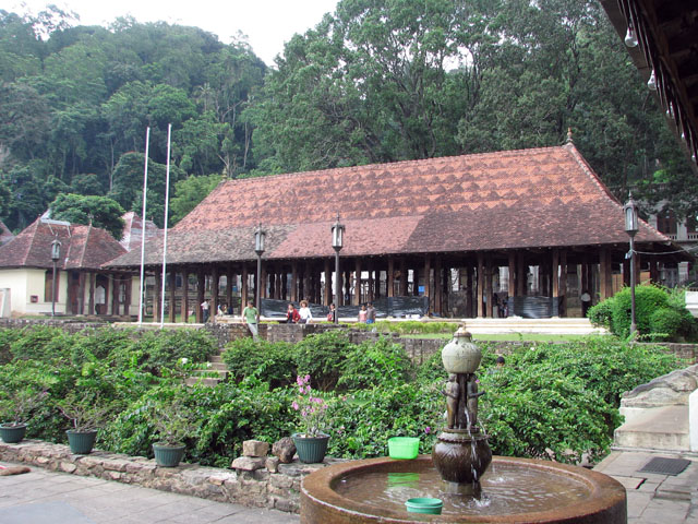 �Ԃ������̌���