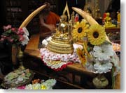 �����̗l�q