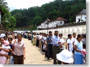 �����ŕ���ł���l����