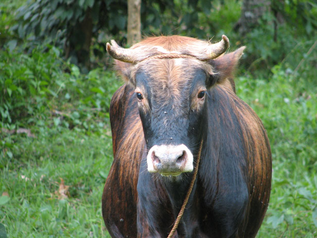 ���̃A�b�v