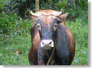 ���̃A�b�v