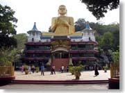 �S�[���f���e���v���S�̗̂l�q