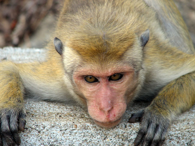 ���̃A�b�v