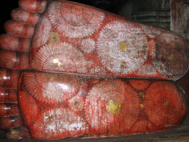 �����̖͗l