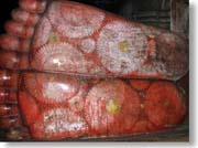 �����̖͗l