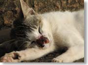 �@�����䂵���L