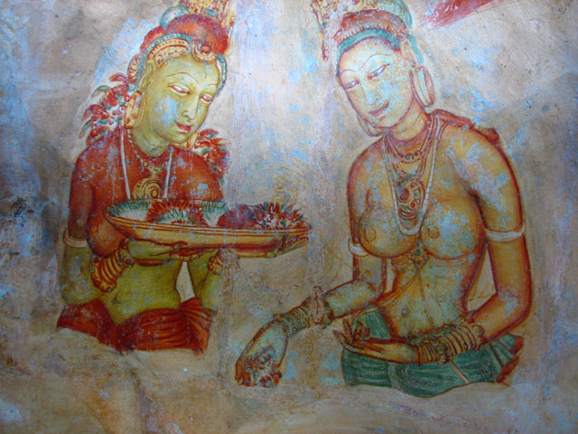 �V�M�����E���f�B