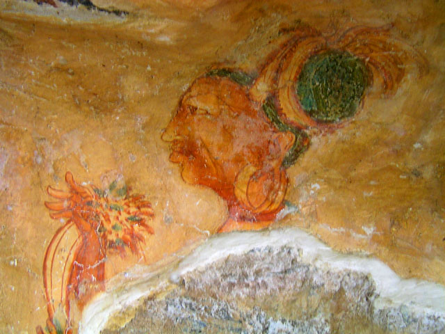 �����J�̃V�M�����E���f�B