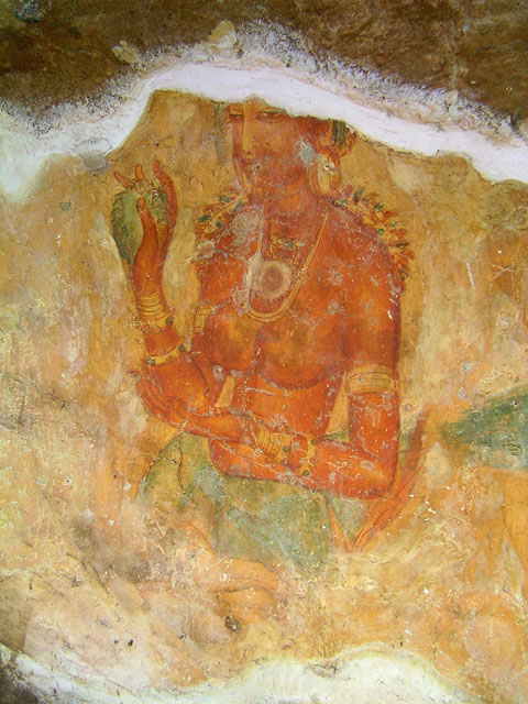 �����J�̃V�M�����E���f�B