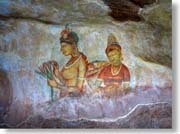 �V�M�����E���f�B