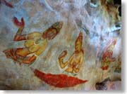 �V�M�����E���f�B