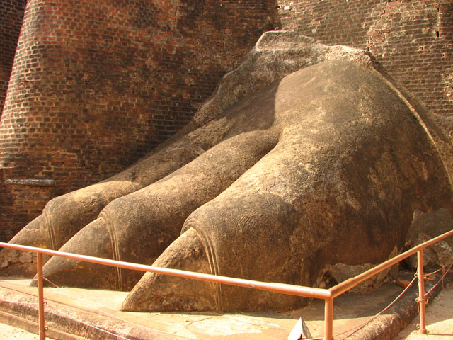 ���C�I���̑��̒�