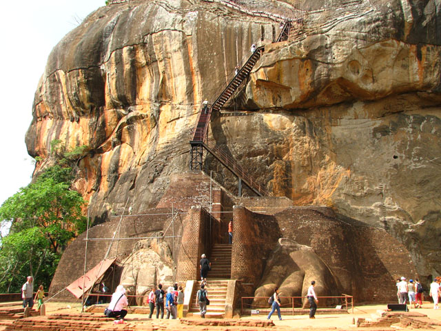 ���C�I���̓���