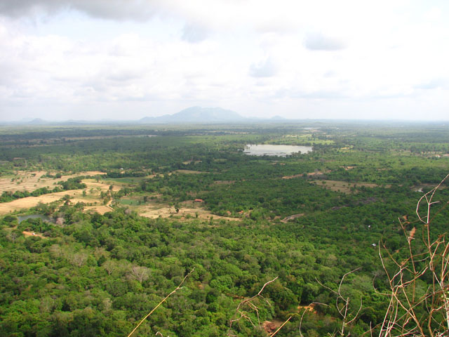 ���ォ�猩���Έ�F�̌i�F