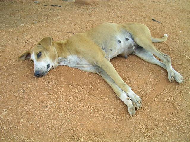 �Q�]��ł��錢