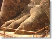 ���C�I���̑��̒�