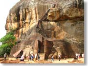 ���C�I���̓���