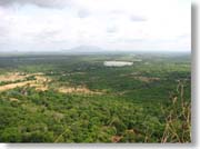 ���ォ�猩���Έ�F�̌i�F