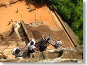 ��ǂ̕����~���l�q