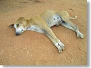 �Q�]��ł��錢