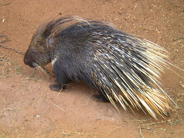 ���}�A���V