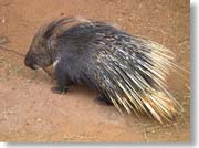 ���}�A���V