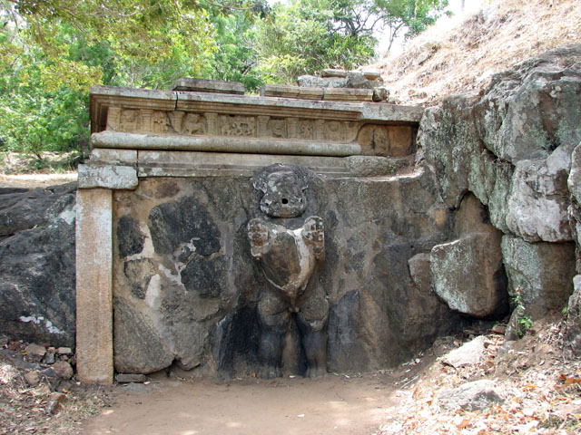 �V���n�E�|�N�i